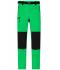 Herren Men's Trekking Pants Fern-green/black 8605